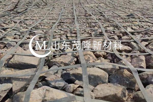 《榮縣快速通道建設(shè)項目》鋼塑格柵施工